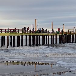 Aunque todo el año son alternativa de pesca, los muelles ganan mayores adeptos en los meses más cálidos. 
