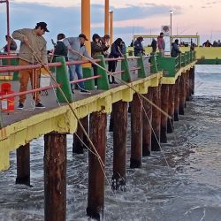 Aunque todo el año son alternativa de pesca, los muelles ganan mayores adeptos en los meses más cálidos. 