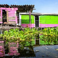 Una casa en Nueva Venecia, Ciénaga Grande de Santa Marta, al norte de Colombia. En Nueva Venecia, un pueblo palafítico en Colombia, los pescadores sumergen sus redes en busca de pescado para comer y vender. En cambio, encuentran una planta invasora que crece sin control y amenaza con desplazarlos, como en los peores años del conflicto armado. | Foto:Luis Acosta / AFP