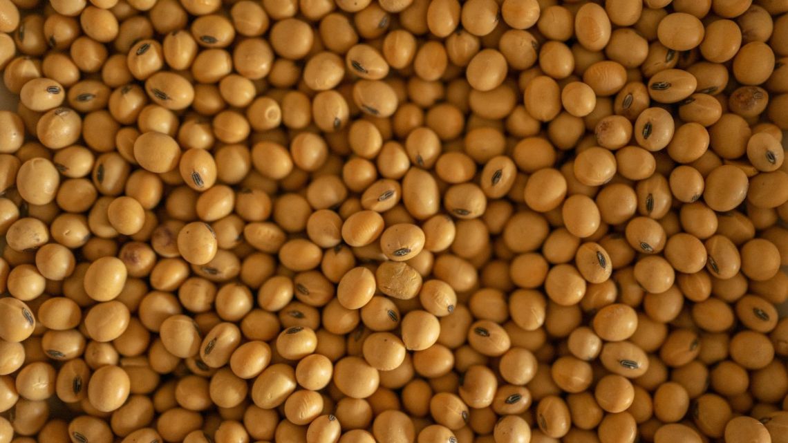 Soybeans stored at a processing and crushing facility in Rosario, Argentina.