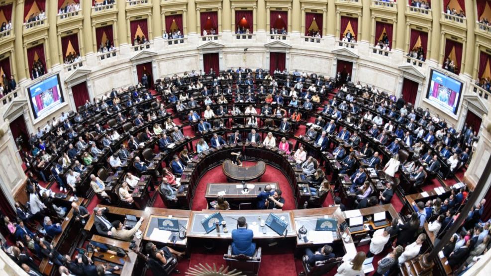 La ley de emergencia pediátrica otorga fondos extraordinarios para hospitales como el Garrahan y estipula una recomposición de los salarios de los trabajadores de la salud en base a la inflación. Por su parte, la ley de financiamiento universitario actualiza los gastos de funcionamiento de las Universidades por el Índice de Precios y también ordena reabrir la paritaria del sector.