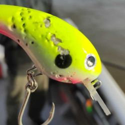 La zona cuenta con puntos de pesca legendarios como la desembocadura del arroyo Feliciano, la mítica Piedra Mora (de dimensiones desconocidas y, según la leyenda, un meteorito), el Islote de los Chanchos, Puerto Buey y las desembocaduras de los arroyos, que suelen aportar especies forrajeras como mojarras, sabalitos y coluditas.