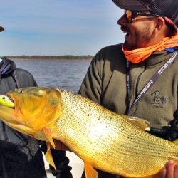 La zona cuenta con puntos de pesca legendarios como la desembocadura del arroyo Feliciano, la mítica Piedra Mora (de dimensiones desconocidas y, según la leyenda, un meteorito), el Islote de los Chanchos, Puerto Buey y las desembocaduras de los arroyos, que suelen aportar especies forrajeras como mojarras, sabalitos y coluditas.