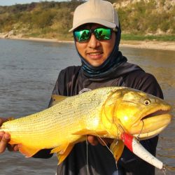 La zona cuenta con puntos de pesca legendarios como la desembocadura del arroyo Feliciano, la mítica Piedra Mora (de dimensiones desconocidas y, según la leyenda, un meteorito), el Islote de los Chanchos, Puerto Buey y las desembocaduras de los arroyos, que suelen aportar especies forrajeras como mojarras, sabalitos y coluditas.