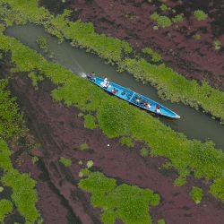 Vista aérea de un barco navegando en el pueblo de Nueva Venecia, en la Ciénaga Grande de Santa Marta, al norte de Colombia. | Foto:Luis Acosta / AFP