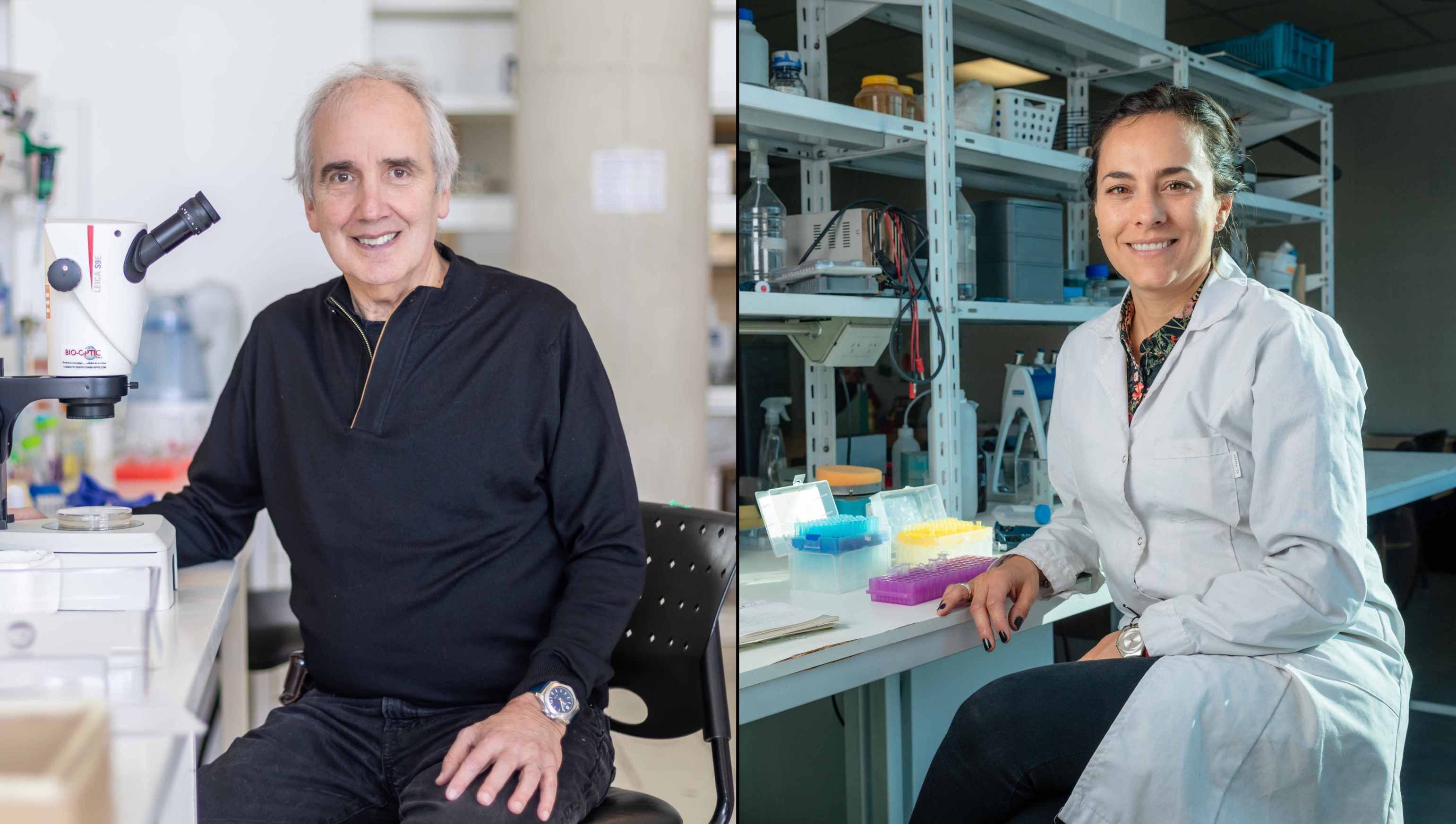 Ciencia argentina:Alberto Kornblihtt, y María Laura Mascotti, en sus laboratorios.