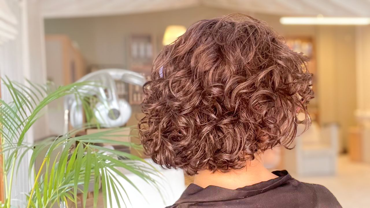 Tania García Studio