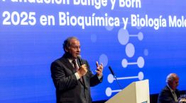 premiosbungeborn2025