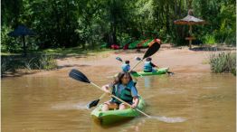 Tigre Joven 20250918