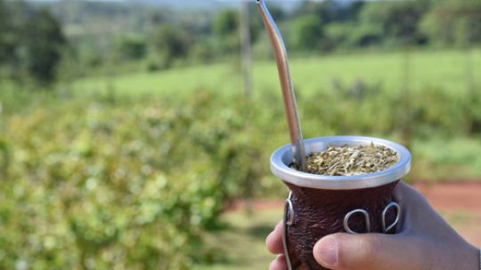 El Gobierno redefine el rol del Instituto Nacional de la Yerba Mate tras eliminar su injerencia en los precios
