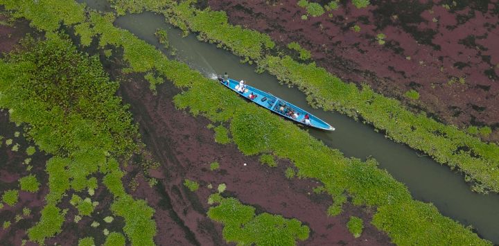 Vista aérea de un barco navegando en el pueblo de Nueva Venecia, en la Ciénaga Grande de Santa Marta, al norte de Colombia.