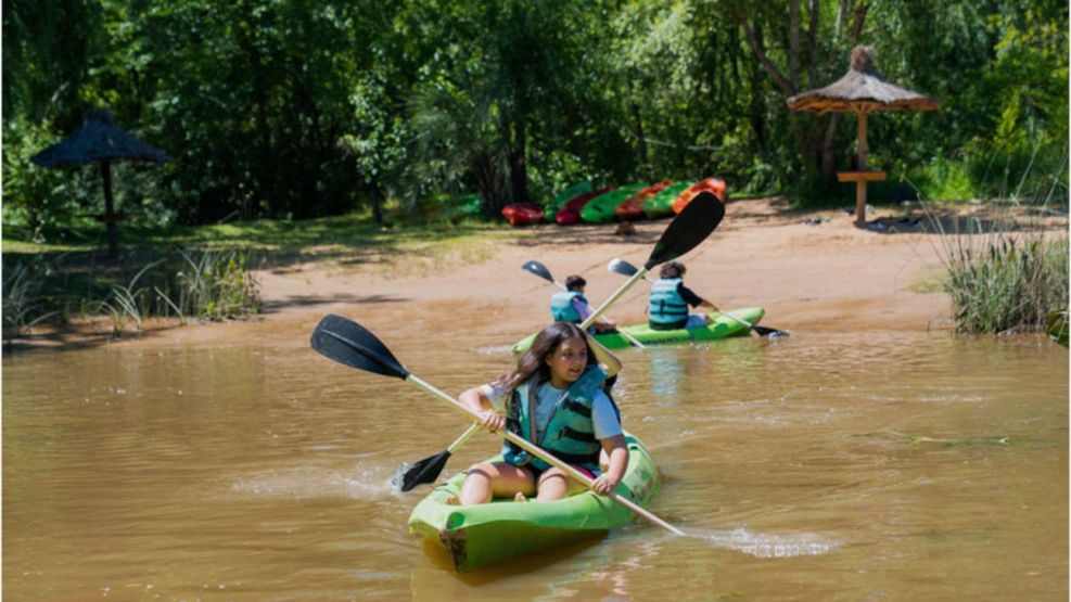 Tigre Joven 20250918