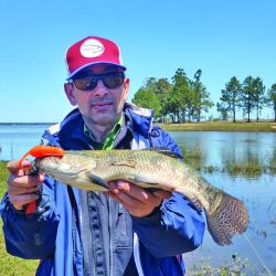 Para iniciar la temporada o cuando los ejemplares son chicos, el Gozio Rat me dio buenos resultados, sólo con un offset y trayéndolo lentamente.