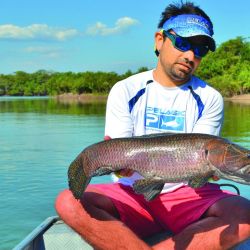 Para iniciar la temporada o cuando los ejemplares son chicos, el Gozio Rat me dio buenos resultados, sólo con un offset y trayéndolo lentamente.