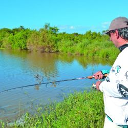 Para iniciar la temporada o cuando los ejemplares son chicos, el Gozio Rat me dio buenos resultados, sólo con un offset y trayéndolo lentamente.