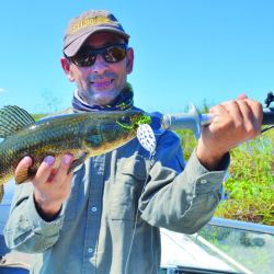 Para iniciar la temporada o cuando los ejemplares son chicos, el Gozio Rat me dio buenos resultados, sólo con un offset y trayéndolo lentamente.