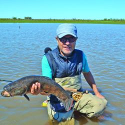 Para iniciar la temporada o cuando los ejemplares son chicos, el Gozio Rat me dio buenos resultados, sólo con un offset y trayéndolo lentamente.