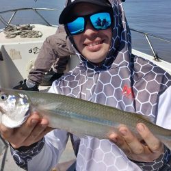 Con la llegada de la nueva estación, el clima más benévolo y los días más extensos, el pique seguirá en ascenso.