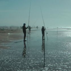 Con la llegada de la nueva estación, el clima más benévolo y los días más extensos, el pique seguirá en ascenso.