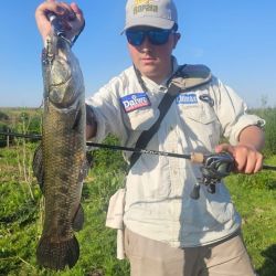 Con la llegada de la nueva estación, el clima más benévolo y los días más extensos, el pique seguirá en ascenso.