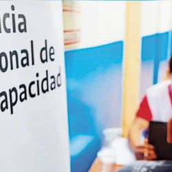 ANDIS atraviesa una crisis institucional, administrativa y humana que que pone en jaque la vida de quienes más necesitan de sus servicios. | Foto:Cedoc