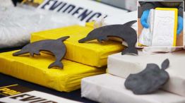 20_09_2025_ladrillo_cocaina_delfin_cedoc_g