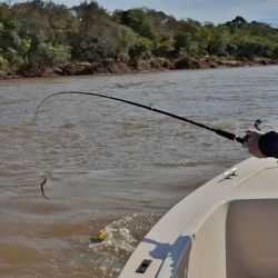 Tres horas bastaron para comprobar el buen rendimiento de la zona en la primera semana de septiembre. 