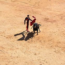 El novillero francés Víctor realiza un pase a un toro de lidia durante la Feria de la Vendimia en Nimes, sur de Francia. | Foto:GABRIEL BOUYS / AFP