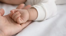 Bebé concebido por ge.stación por sustitución podrá ser adoptado