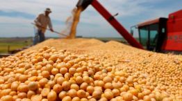 eliminacion-retenciones