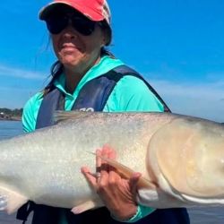 Una vez más, la carpa da que hablar y no paran de viralizarse opiniones encontradas sobre una especie que siempre despierta la voz de los cañófilos. 