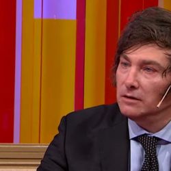 Javier Milei | Foto:CEDOC