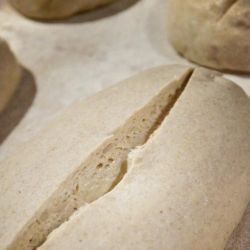 Nuestros panes: el valor de lo que somos en cada rebanada | Foto:CONTENTNOTICIAS