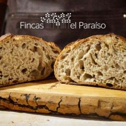 Nuestros panes: el valor de lo que somos en cada rebanada | Foto:CONTENTNOTICIAS