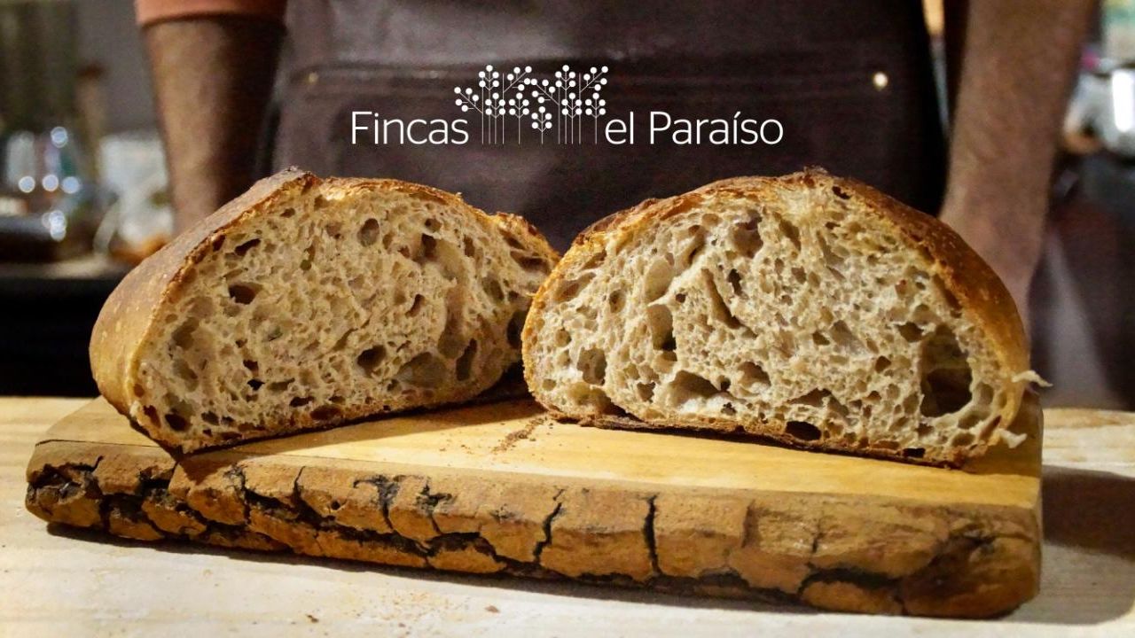 Nuestros panes: el valor de lo que somos en cada rebanada | Foto:CONTENTNOTICIAS