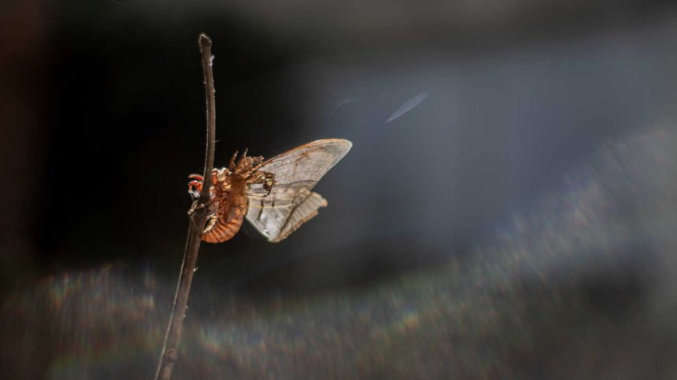 Un puñado de tierra de Andrés Paredes 20250923