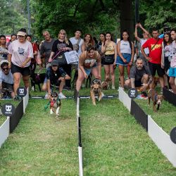 El Festival Mascotear se hará 4 y 5 de octubre en Figueroa Alcorta y Dorrego, CABA.
