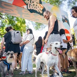El Festival Mascotear se hará 4 y 5 de octubre en Figueroa Alcorta y Dorrego, CABA.