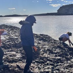 Se colocaron ocho transmisores denominados “pop up”, esto quiere decir que en un tiempo previamente configurado, se despegan.