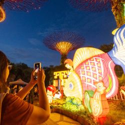 Una turista toma fotografías de las decoraciones de linternas del Festival de Medio Otoño celebrada en los Jardines de la Bahía, en Singapur. | Foto:Xinhua/Then Chih Wey