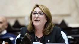 Mónica Fein (Encuentro Federal) fue designada presidenta de la comisión investigadora del fentanilo 