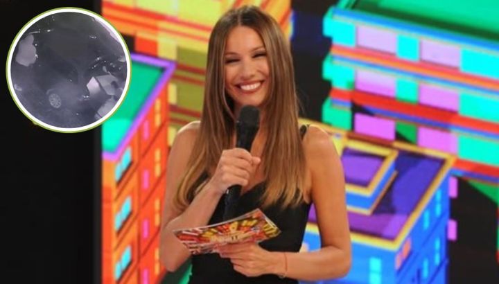 Así fue el robo que sufrió Pampita en su casa