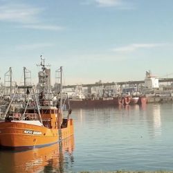 La pesca argentina a la deriva.