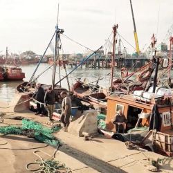 La pesca argentina a la deriva.