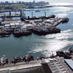 La pesca argentina a la deriva.