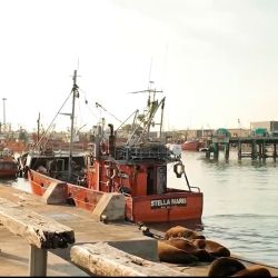La pesca argentina a la deriva.