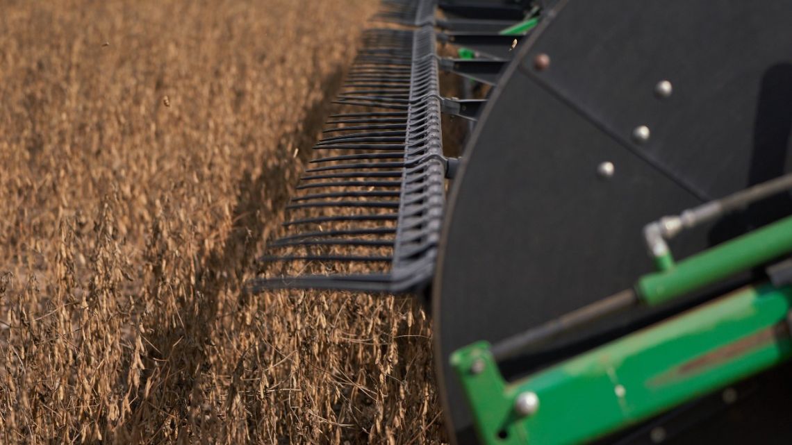 A combine harvester cuts through a field of soybean plants at a farm in San José de la Esquina, Santa Fe Province.
