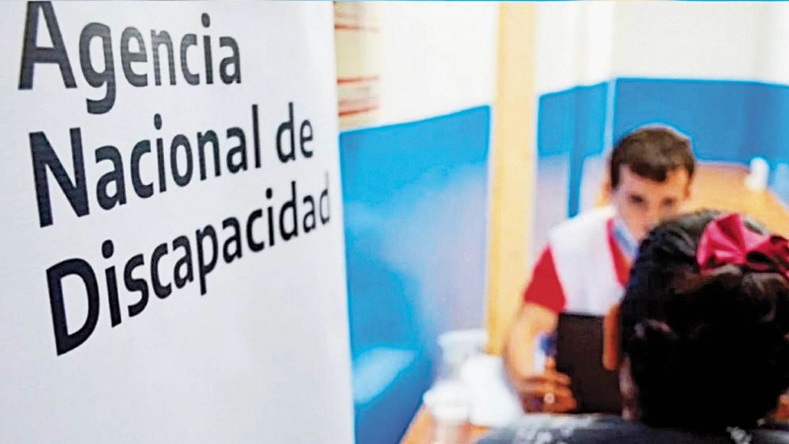 ANDIS (Agencia Nacional de Discapacidad) national disability agency.