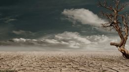 Un nuevo estudio advirtió qué lugares en el mundo podrían sufrir sequías de día cero.