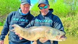 0925_contenidooctubre